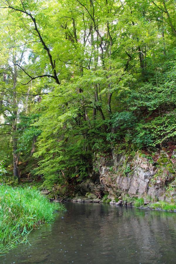 Camping Fox Cesky Krumlov Kajov Exterior photo